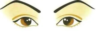 Figura mostrando sobrancelhas arcadas